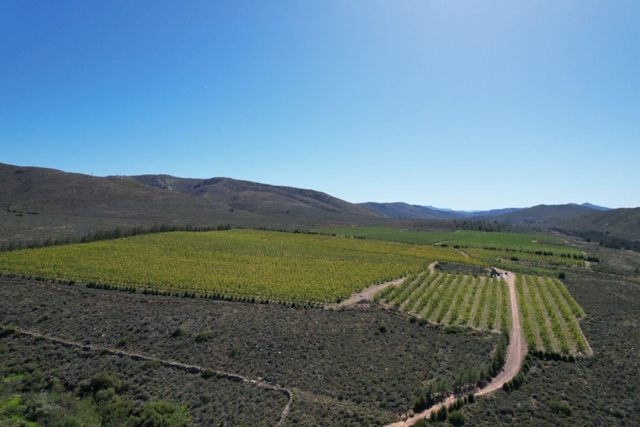 0 Bedroom Property for Sale in Uniondale Rural Western Cape